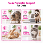 Promotional graphic for a cat supplement titled 'Pre & Probiotic Support for Cats' with four panels showing cats: eating from a bowl, using a litter box, stretching on a rug, and walking indoors. Text highlights healthy digestion, bowel health, gut health, and intestinal well-being.