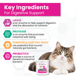 An informational graphic for Progility Pre-and Probiotics, featuring a fluffy brown and white cat next to the white and pink product jar. The left side contains a 'Key Ingredients' section with icons and text explaining the benefits of lipase, protease, pumpkin & chicory root, and probiotics.