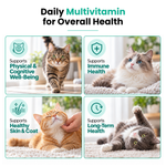 Promotional graphic for a daily multivitamin for cats, featuring four panels with different cat breeds on a white background. The text reads 'Daily Multivitamin for Overall Health' and lists benefits: supports physical and cognitive well-being, immune health, healthy skin and coat, and long-term health.