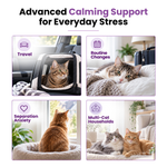 Promotional graphic for a calming support product for cats, with the headline 'Advanced Calming Support for Everyday Stress' and four panels showing cats using or resting in a soft pet carrier and a plush bed in different home and travel scenarios.