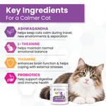 Promotional graphic for a cat calming supplement. The left side features a purple header reading 'Key Ingredients For a Calmer Cat' with icons and text for Ashwagandha, L-Theanine, Thiamine, and Probiotics.