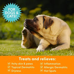 Itch Relief Medicated Spray | Relieves Itching & Scratching