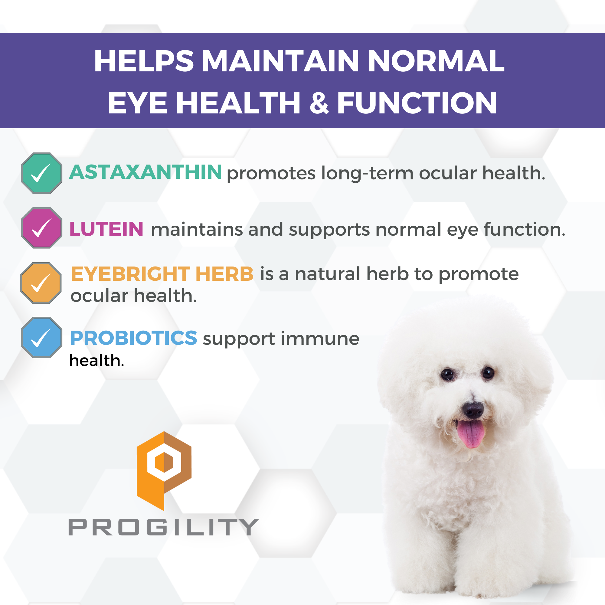 Eye health for dogs best sale