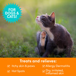 Itch Relief Medicated Shampoo | Relieves Itching & Scratching