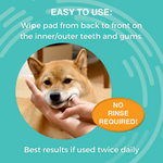 Antimicrobial Dental Wipes for Dogs | 60 Wipes