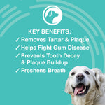 Antimicrobial Dental Gel for Dogs | 4oz.