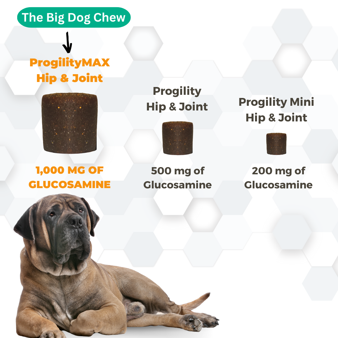 ProgilityMax Hip Joint Soft Chew Supplement with Eggshell Membrane Nootie