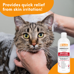 Medicated Pet Shampoo | Antifungal & Antibacterial