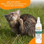Itch Relief Medicated Spray | Relieves Itching & Scratching