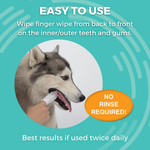 Medicated Dental Finger Wipes for Dogs | Removes Tartar and Plaque - 80 Wipes
