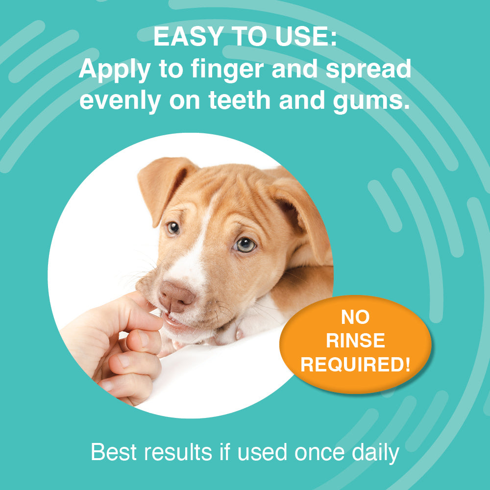 Antimicrobial Dental Gel for Dogs 4oz. Nootie