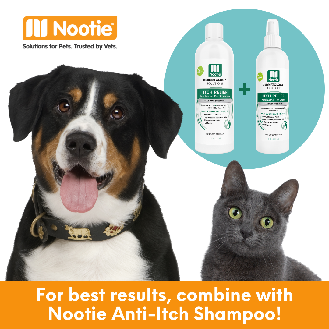 Nootie medicated dog shampoo hotsell