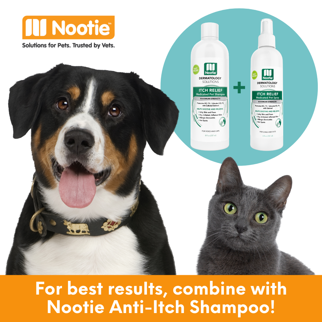 Itch Relief Medicated Shampoo Relieves Itching Scratching – Nootie
