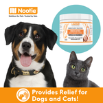 Medicated Ear Finger Wipes for Dogs and Cats | Topical Ear Treatment