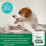 Progility Minis Allergy & Immune Soft Chew Supplements for Dogs for Seasonal Allergy Support | Advanced Immune Support for Seasonal Allergies - For Small and Medium Dogs