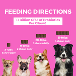 Progility Minis Pre & Probiotics Soft Chew Supplements | Supports Healthy Digestion - For Small & Medium Dogs