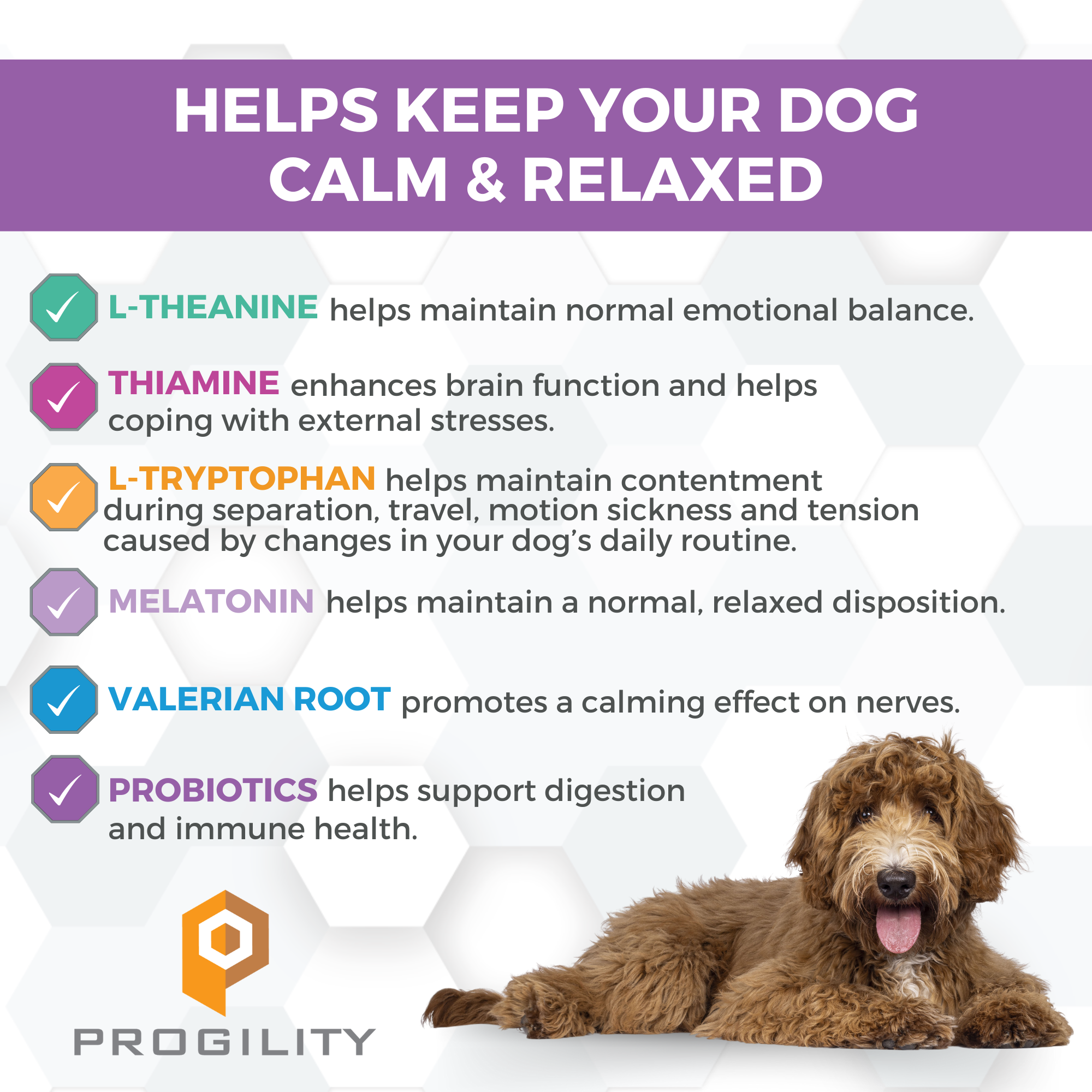 Melatonin to calm dogs hotsell