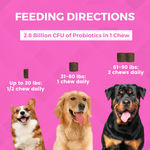 Progility Pre & Probiotics Soft Chew Supplements for Dogs | Supports a Healthy Gut and Digestion