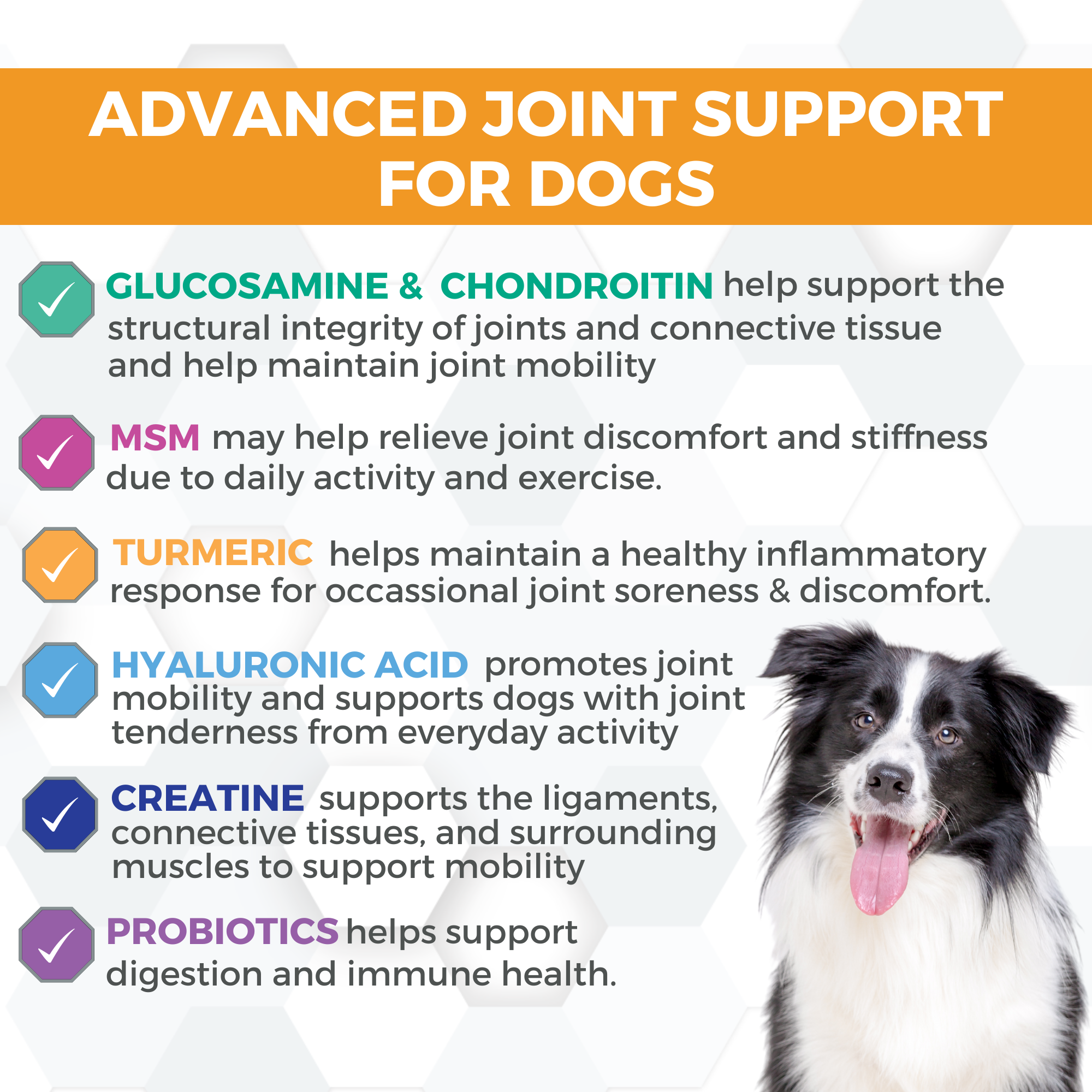 Progility Hip Joint Soft Chew Supplements For Dogs Advanced Support Nootie
