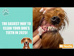 Antimicrobial Dental Wipes for Dogs | 60 Wipes