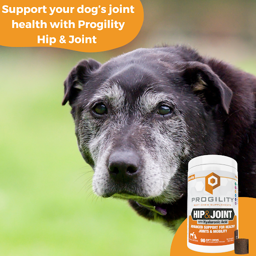 Progility Hip Joint Soft Chew Supplements For Dogs Advanced Support Nootie