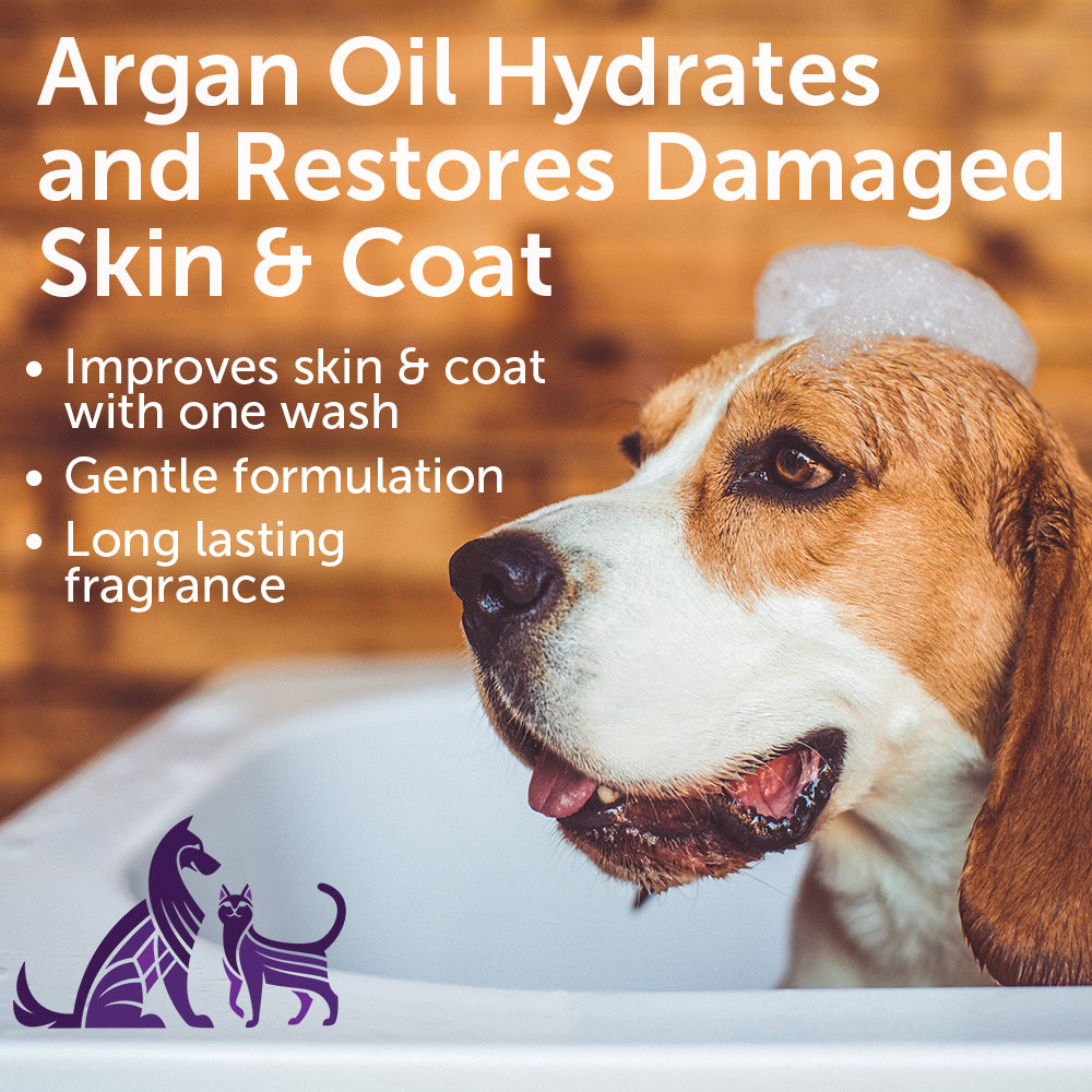 Restoring Argan Oil Pet Shampoo Soft Lily Passion Nootie