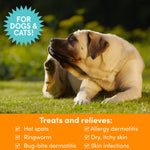 Medicated Pet Spray | 8 oz - Antifungal & Antibacterial