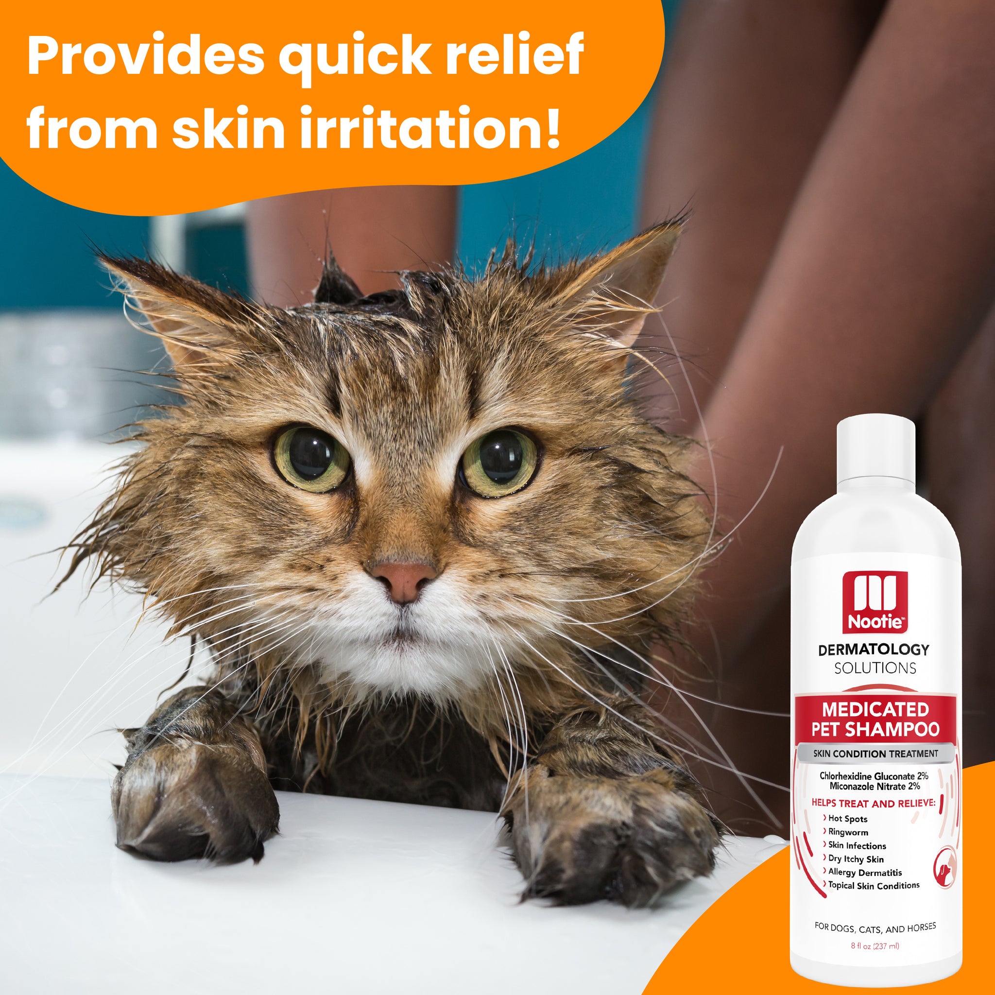 Medicated dog shampoo for bacterial fashion infection