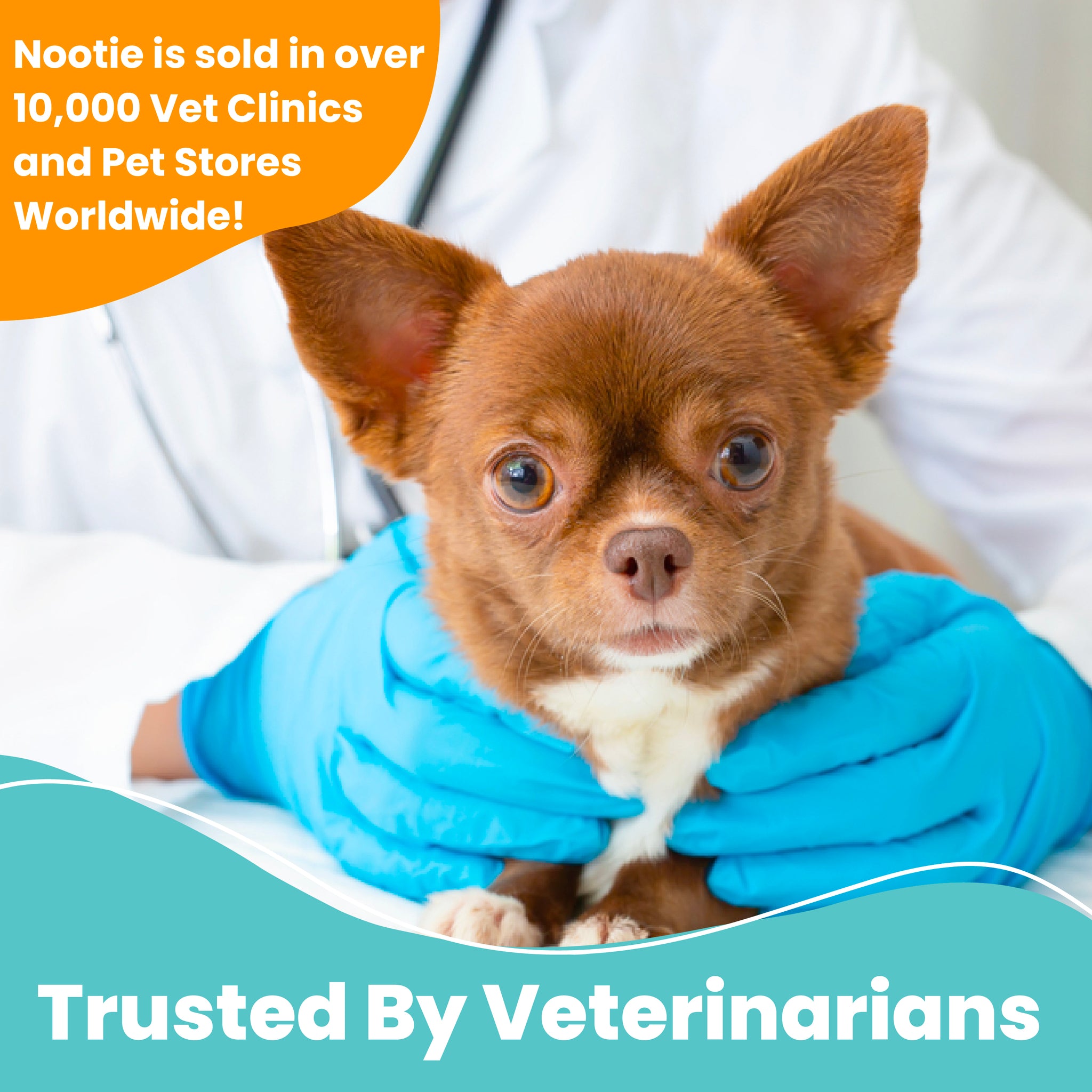 Medicated Pet Wipes Antifungal Antibacterial Nootie