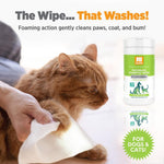 Waterless Shampoo Wipes with Aloe and Oatmeal | Cucumber Melon
