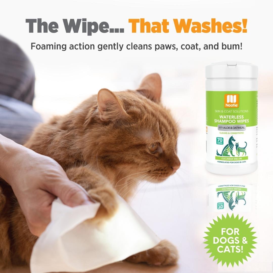 Nootie Cucumber Melon Ear Wipes For Dogs & Cats Nootie Cucumber Melon Ear Wipes For Dogs & Cats