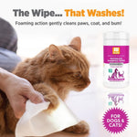 Waterless Shampoo Wipes with Aloe and Oatmeal | Japanese Cherry Blossom